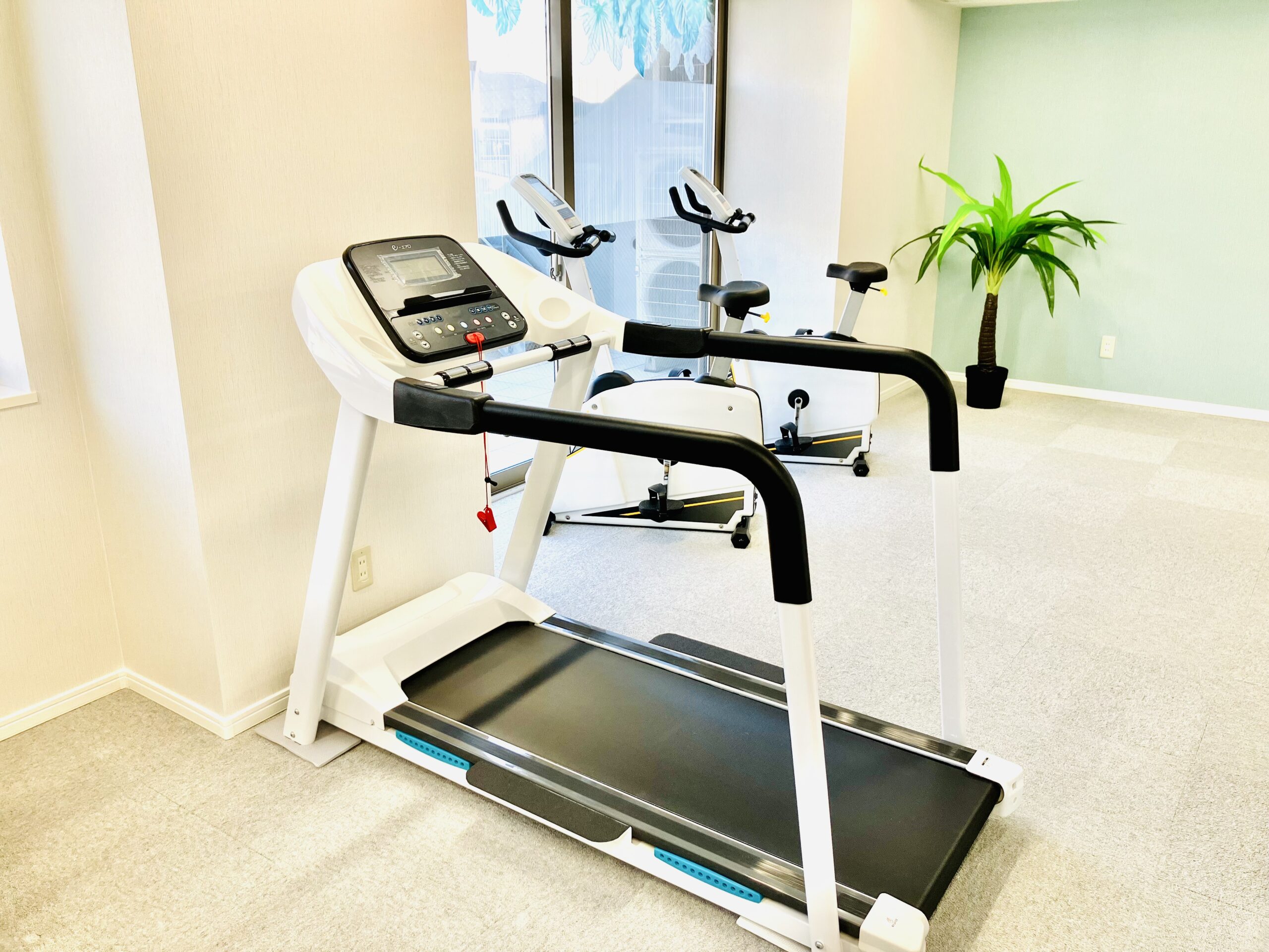 テラス,有酸素運動,マシン,ウォーキング,運動,トレッドミル,ルームランナー