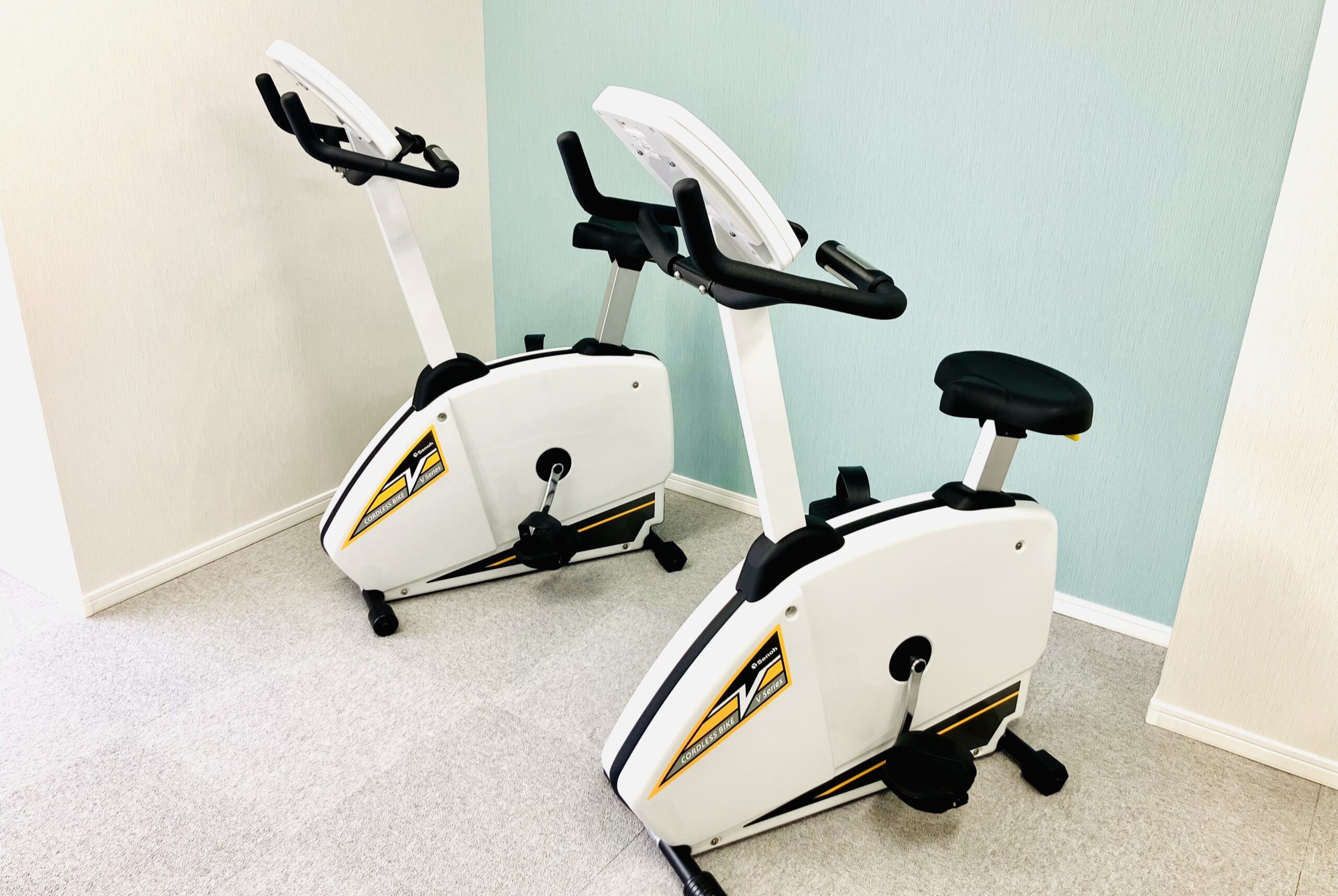 テラス,有酸素運動,マシン,機器,運動,バイク,エルゴ